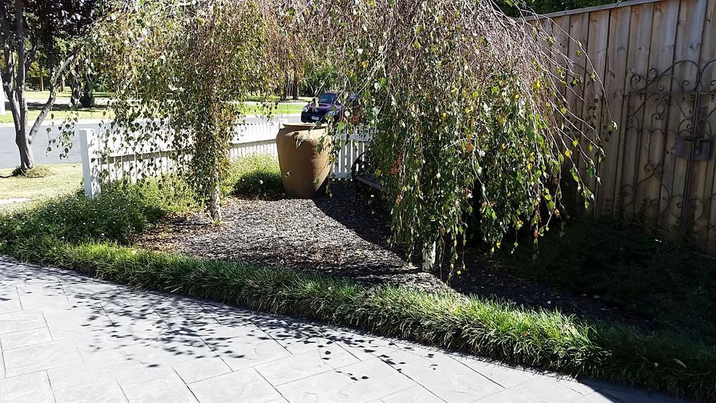 Creek Cottage Bed And Breakfast Traralgon Bagian luar foto